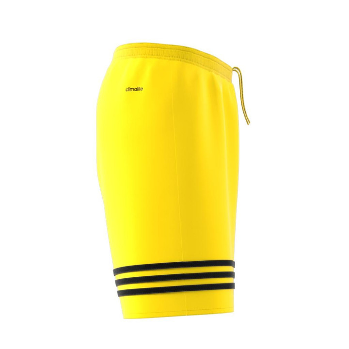 Adidas Short Entrada 14 Team Giallo/Nero