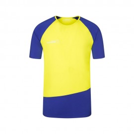 Merlin giallo blu