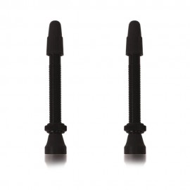 Valvole Tubeless Coppia 60Mm