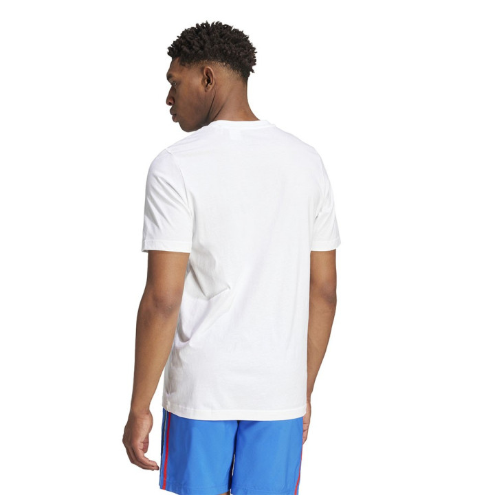 ADIDAS Maglia Calcio Italia Dna Graphic Bianco Verde Uomo