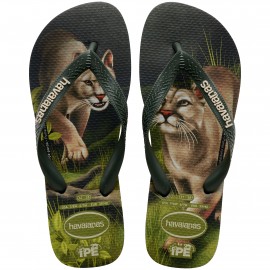 Ipe multicolore