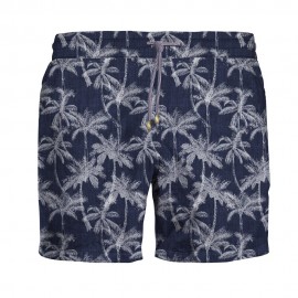 Palme blu