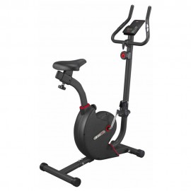Cyclette Ride 205 5Kg 8 Livelli