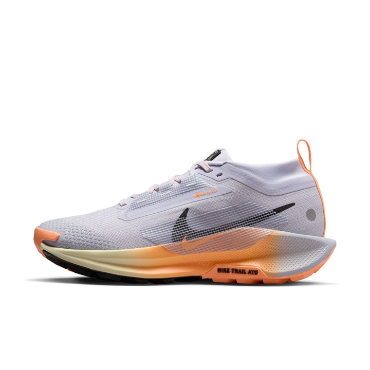 Nike Pegasus Trail 5 Gtx Ghost Nero-Malt Ora - Scarpe Trail Running Donna