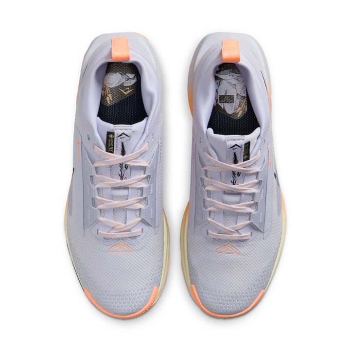Nike Pegasus Trail 5 Gtx Ghost Nero-Malt Ora - Scarpe Trail Running Donna