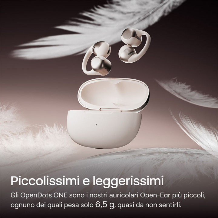 AURICOLARI OPENSWIM PRO Grigio