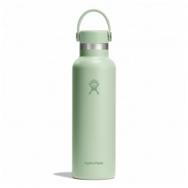 Standard Mouth Flex Cap 21 oz Aloe