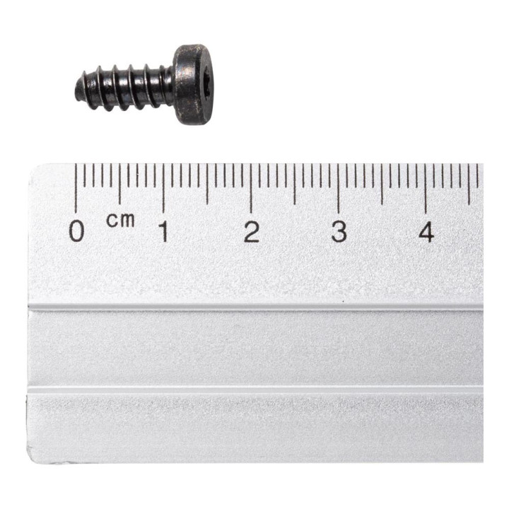 Dynafit Pan Torx Screws Back Unit