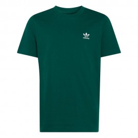 Logo Piccolo verde