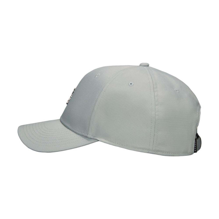 Nike Jordan Rise Cappellino Grigio