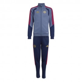 Fc Bayern Avio rosso