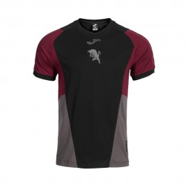 Maniche Corte Torino 1C1C nero Granata