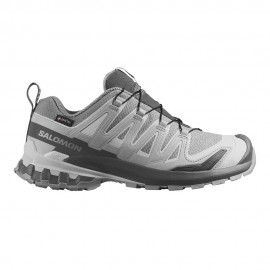 Xa Pro 3D V9 GORE-TEX Alloy Castelrock Lunar Ro