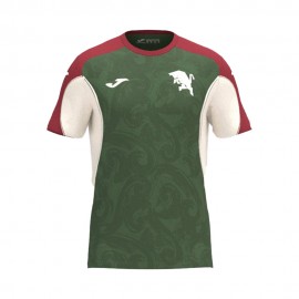 Maniche Corte Torino Training verde bianco