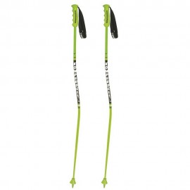 Nationalteam Carbon Gs Bent