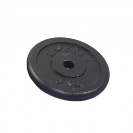 Pesi Palestra Ghisa 1 Pz X 5 Kg 25,4 Mm