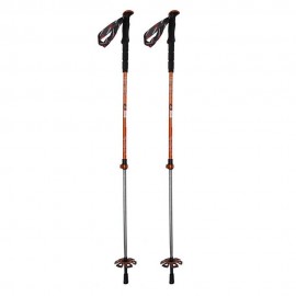 Telescopici Powder Pole arancio