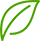 Green Vision